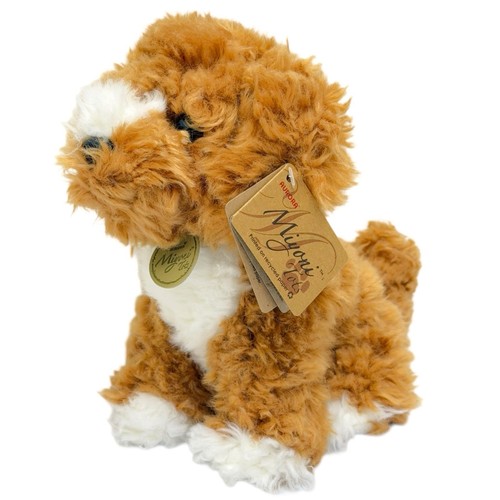 Aurora cockapoo pup - cockapoo,