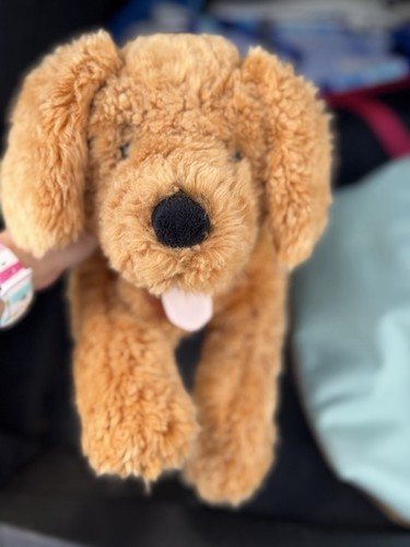 Large cockapoo puppy dog - large,