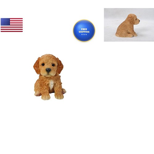 Line sitting cockapoo - sitting,