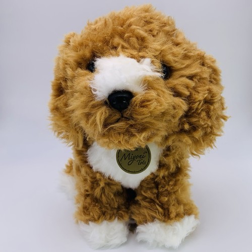 Aurora miyoni tots cockapoo - aurora,
