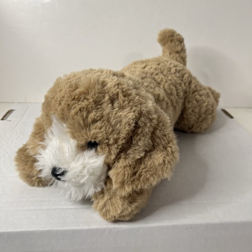 Fao schwarz cockapoo puppy - puppy, dog