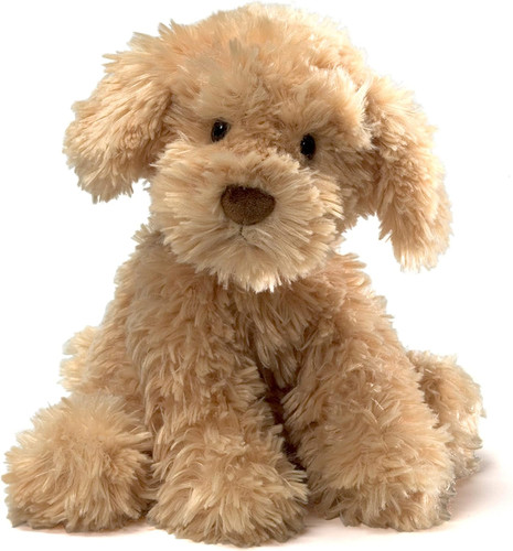 Nayla inch cockapoo puppy - nayla,