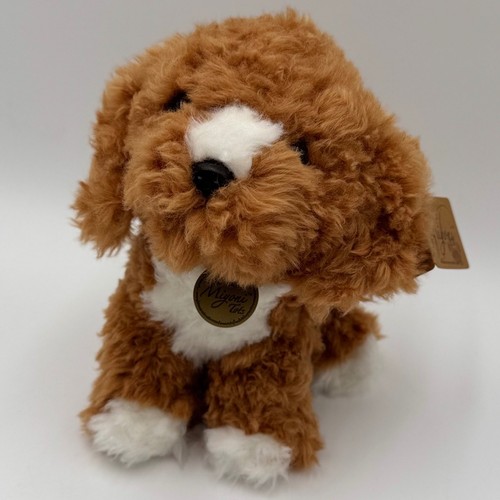 Aurora miyoni tots cockapoo - aurora,
