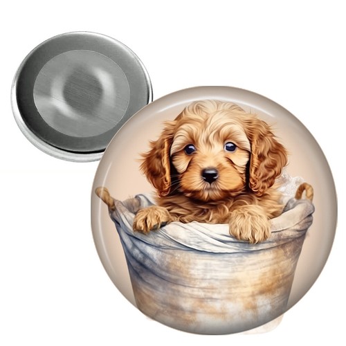 Cockapoo puppy dog fridge - cockapoo,