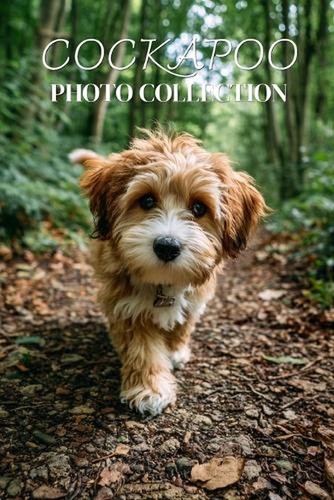 Cockapoo photo collection - cockapoo,