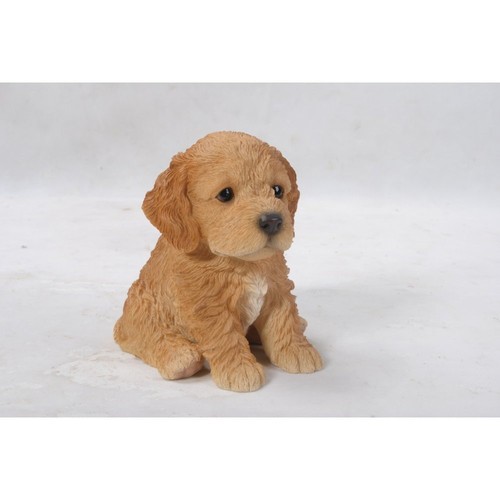 Brown cockapoo puppy - cockapoo,