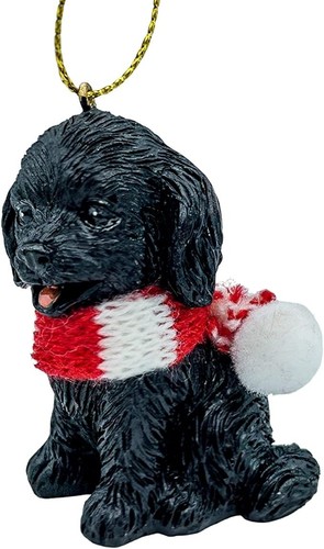 Black cockapoo puppy - black,