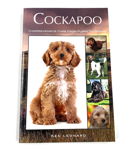 Cockapoo comprehensive care - cockapoo,