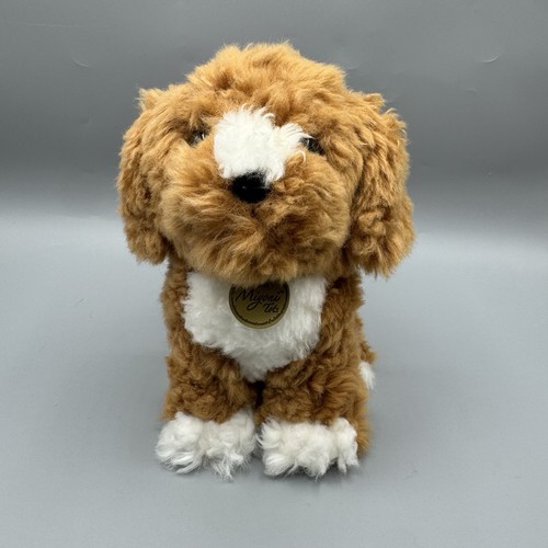 Aurora miyoni cockapoo - miyoni,