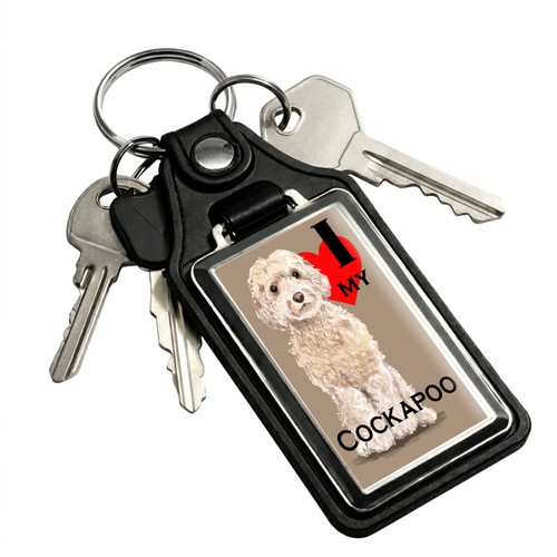 Love white cockapoo pet - i,