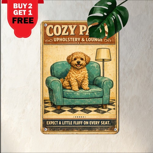 Cockapoo puppy canine pet - cockapoo,