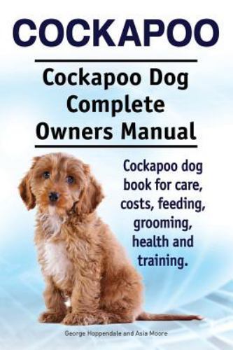 Cockapoo dog - cockapoo,