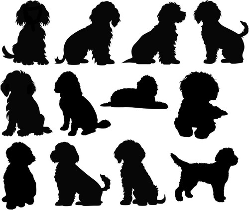 Cockapoo dog vinyl sticker - 12,