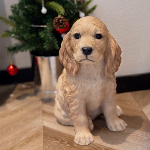 Soreal brown golden cockapoo - brown,