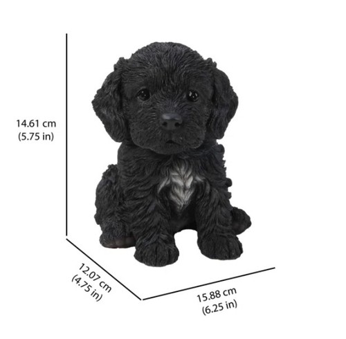 Cockapoo puppy sitting black - cockapoo,